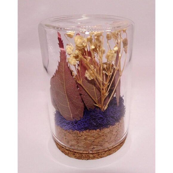 Two Cicada Skins Nut Shell & Dried Flowers Oddity Jar witchy goth taxidermy - Picture 10 of 13